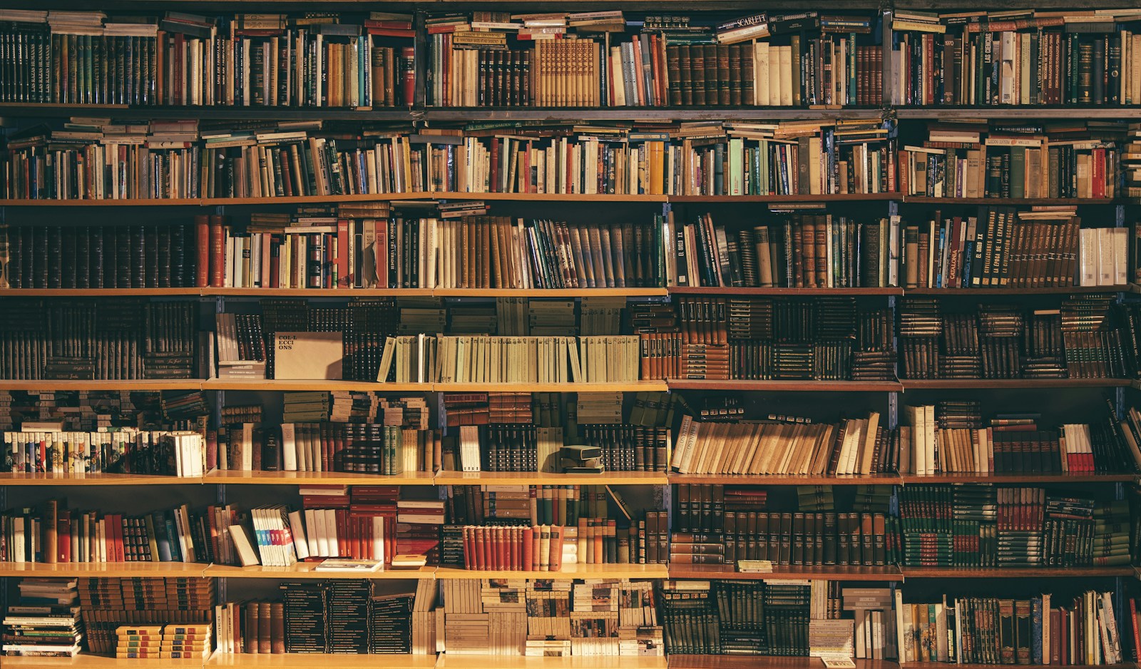 Bücher in hölzernen Bibliotheksregalen – Symbolfoto für Lesen und Sprache